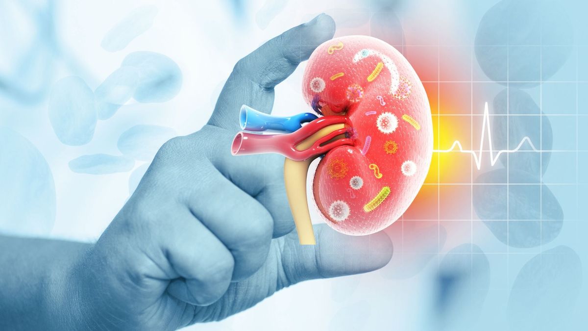 Otsuka's Voyxact Hits Normal eGFR Slope in IgAN Trial