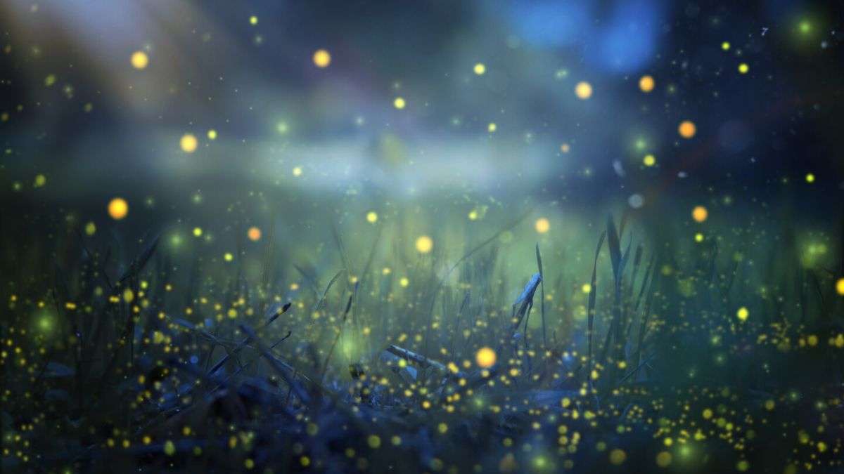 J&J Buys Firefly Bio for $1B DAC Platform